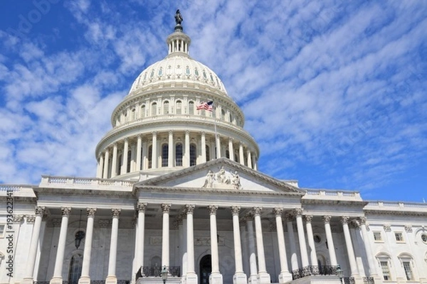 Obraz US Capitol