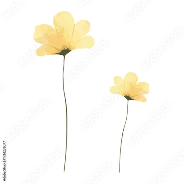 Obraz 水彩風の黄色い花のデザイン｜フラワー・植物・春・ナチュラル装飾