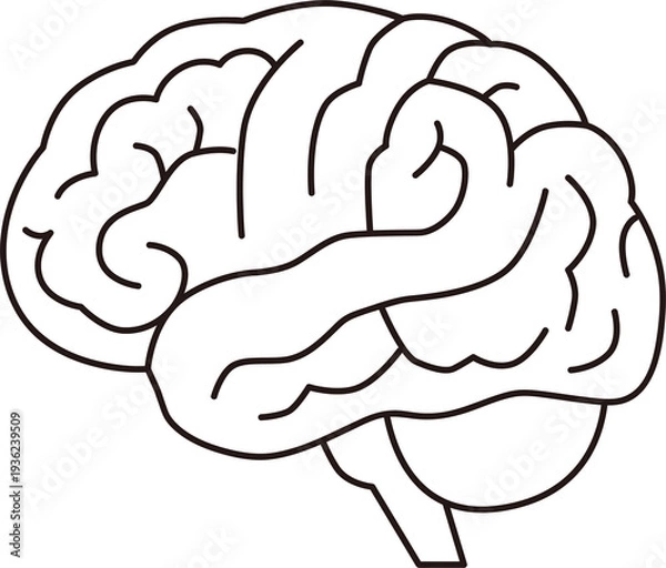 Obraz 脳のイラスト