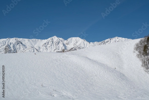 Obraz 白馬岩岳スノーフィールド　ゲレンデ風景