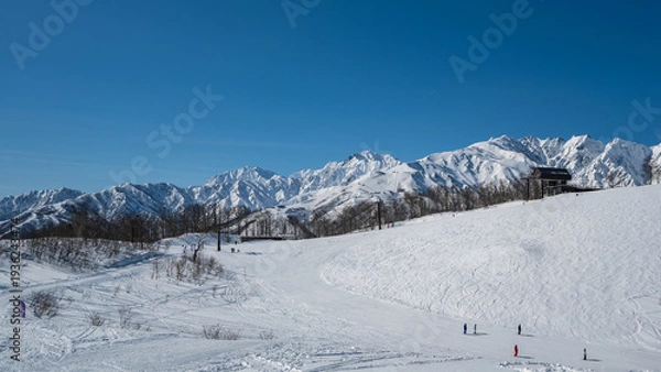 Obraz 白馬岩岳スノーフィールド　ゲレンデ風景
