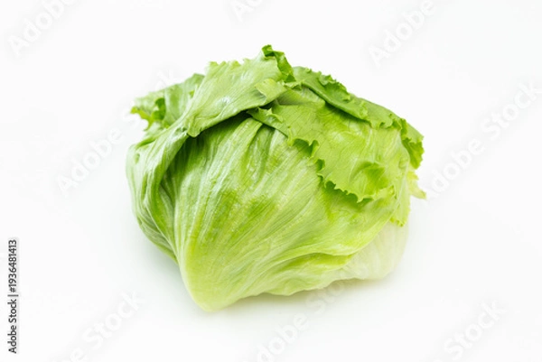 Obraz レタス　白バック