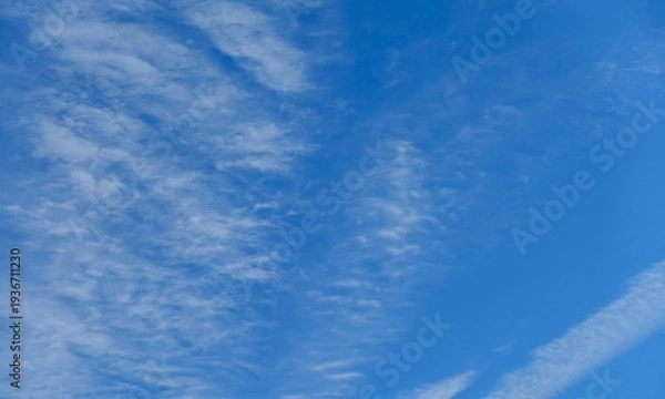 Obraz 青空に薄く広がったすじ雲