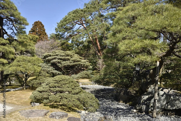 Obraz 京都御所　早春の御内庭(京都市上京区)