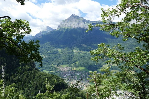 Fototapeta Through the trees