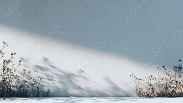 Obraz 乾いた草の影が壁に映る静かな風景。自然や季節のイメージ素材に最適な写真。