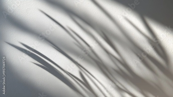 Obraz 壁に映る植物の影の抽象的な表現。インテリアやデザインの背景素材に最適なイメージ。