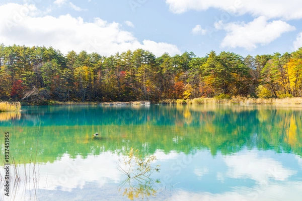 Fototapeta 日本の風景・秋　福島県裏磐梯　紅葉の五色沼湖沼群　弁天沼　