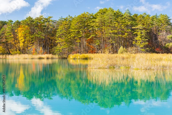 Fototapeta 日本の風景・秋　福島県裏磐梯　紅葉の五色沼湖沼群　弁天沼　