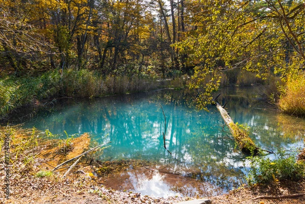 Obraz 日本の風景・秋　福島県裏磐梯　紅葉の五色沼湖沼群　弁天沼　