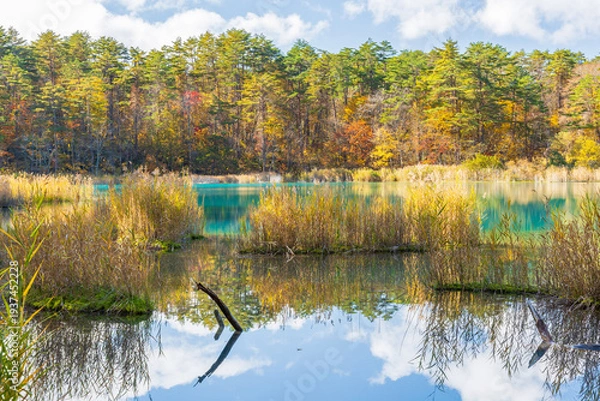 Obraz 日本の風景・秋　福島県裏磐梯　紅葉の五色沼湖沼群　弁天沼　