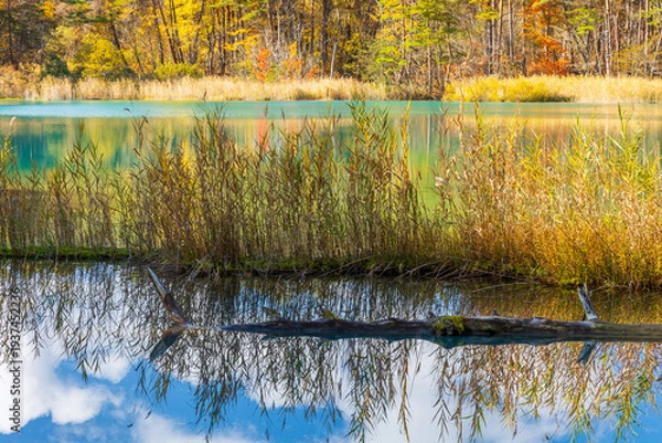 Fototapeta 日本の風景・秋　福島県裏磐梯　紅葉の五色沼湖沼群　弁天沼　