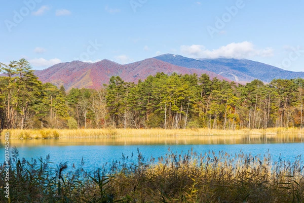 Obraz 日本の風景・秋　福島県裏磐梯　紅葉の五色沼湖沼群　弁天沼　