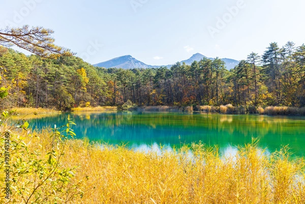 Obraz 日本の風景・秋　福島県裏磐梯　紅葉の五色沼湖沼群　るり沼と磐梯山