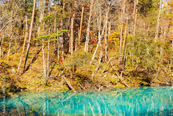 Obraz 日本の風景・秋　福島県裏磐梯　紅葉の五色沼湖沼群　青沼
