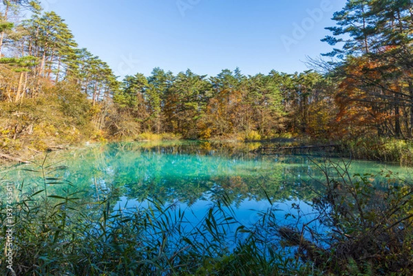 Obraz 日本の風景・秋　福島県裏磐梯　紅葉の五色沼湖沼群　青沼