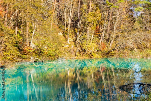 Fototapeta 日本の風景・秋　福島県裏磐梯　紅葉の五色沼湖沼群　青沼