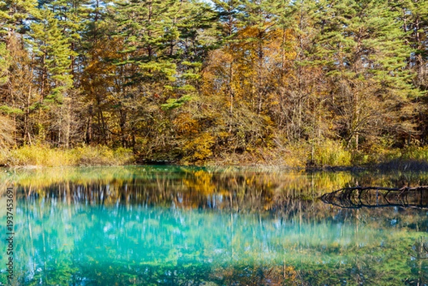 Obraz 日本の風景・秋　福島県裏磐梯　紅葉の五色沼湖沼群　青沼