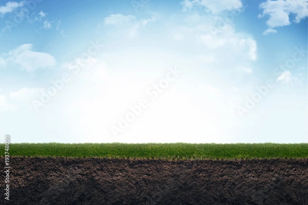 Fototapeta Cute soil and grass in meadow. 3d illustration