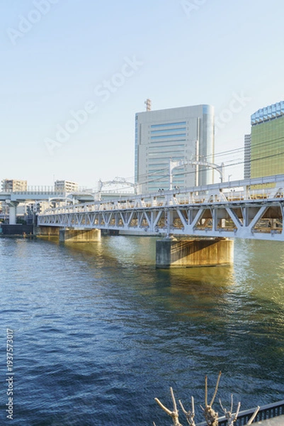 Obraz 日本の風景【東京都】隅田川橋梁(上流側) 台東区側から見た風景