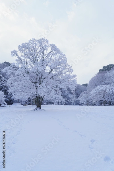 Obraz 雪の降る日本の公園｜千葉県千葉市・泉谷公園
