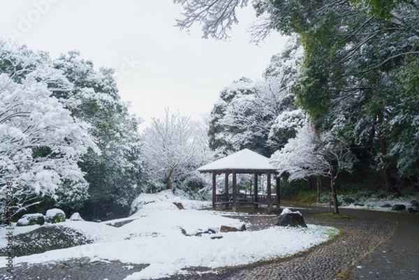 Obraz 日本の冬景色｜千葉県千葉市・有吉公園(おゆみの道)