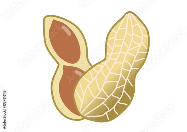 Obraz ピーナッツのイラスト