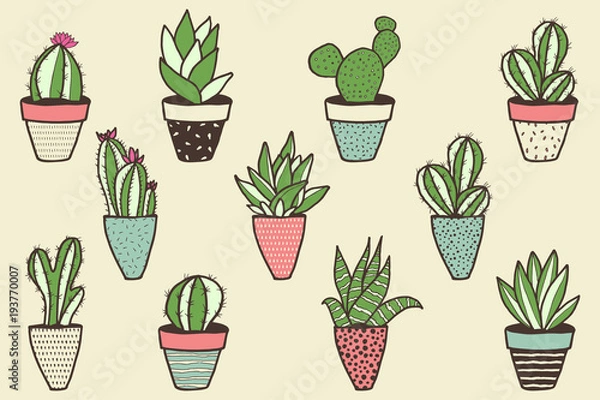 Fototapeta Set of different kinds of cactuses