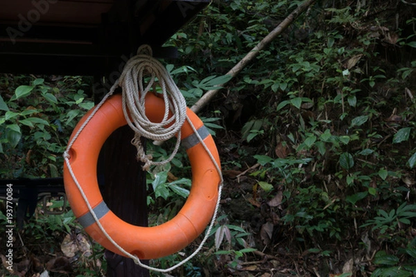 Fototapeta Rubber float ring around the waterfall