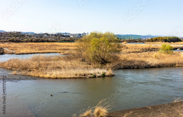Obraz 神奈川県相模原市からの相模川風景