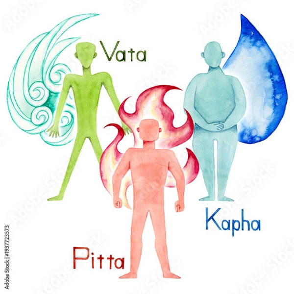 Obraz アーユルヴェーダ　体質 ヴァータ ピッタ カパ　水彩 イラスト