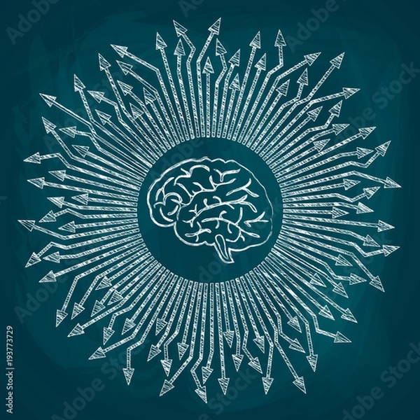 Fototapeta Sketch of the drawn human brain and directed from it in different directions arrows. Drawing chalk on a blackboard, vector illustration
