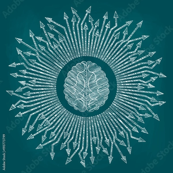 Fototapeta A sketch of the human brain and arrows directed from it in different directions. Drawing on blue background, sketch with chalk on a blackboard, vector illustration