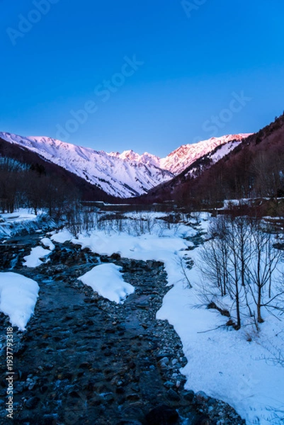 Obraz 夜明けの白馬村から北アルプス不帰ノ嶮モルゲンロート