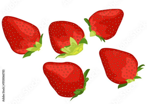 Obraz リアルテイストな苺