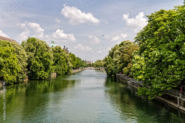 Fototapeta Quiet flowing river surrounded by trees in summer