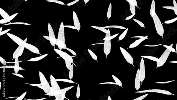 Obraz 白い羽が舞い散る背景画像