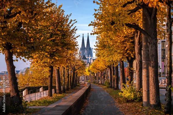 Obraz Kölner Dom im Herbst