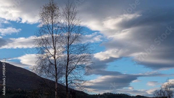 Fototapeta Cloudy summer sky