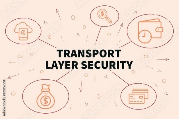Fototapeta Conceptual business illustration with the words transport layer security