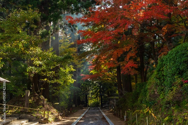 Obraz 日本の風景・秋　岩手県平泉町　紅葉の世界遺産中尊寺