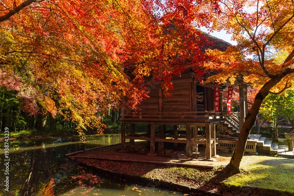 Obraz 日本の風景・秋　岩手県平泉町　紅葉の世界遺産中尊寺　弁財天堂