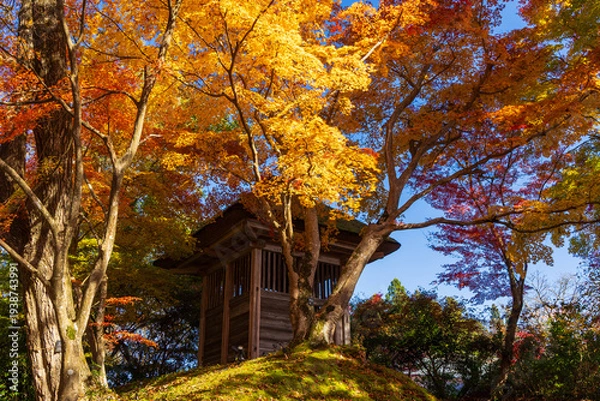 Obraz 日本の風景・秋　岩手県平泉町　紅葉の世界遺産中尊寺　梵鐘