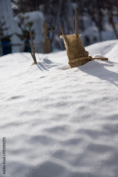 Obraz 冬囲い、埋まる