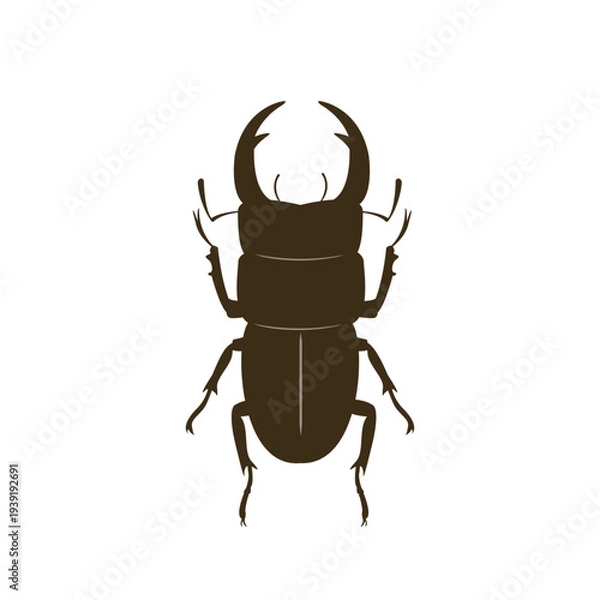 Obraz クワガタのシルエットイラスト　昆虫のイラスト　夏素材　昆虫素材