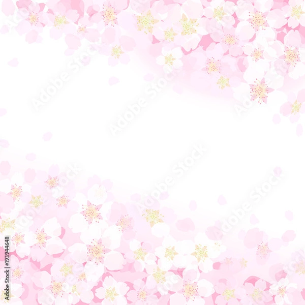 Fototapeta 桜　背景