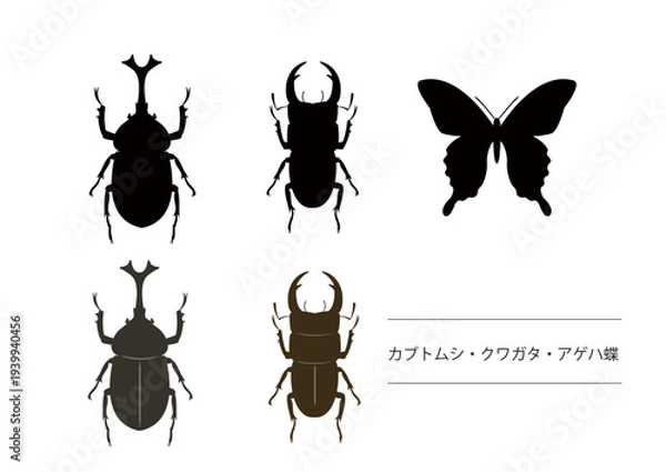 Obraz カブトムシとクワガタとアゲハ蝶のシルエットイラスト　昆虫素材　夏素材　