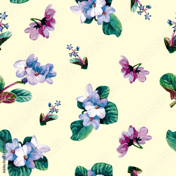 Fototapeta Seamless pattern of watercolor Saintpaulia flowers.