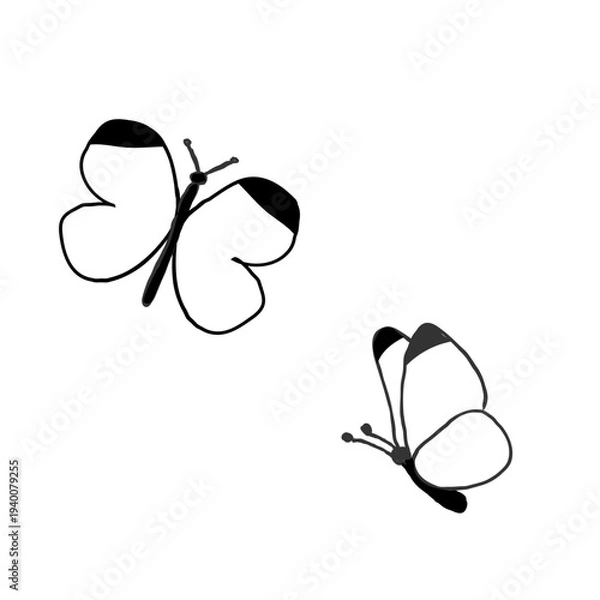 Obraz 手描きの蝶々のシンプルな線画イラスト