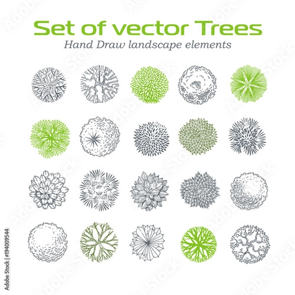 Obraz Different plants and trees vector set for landscape design